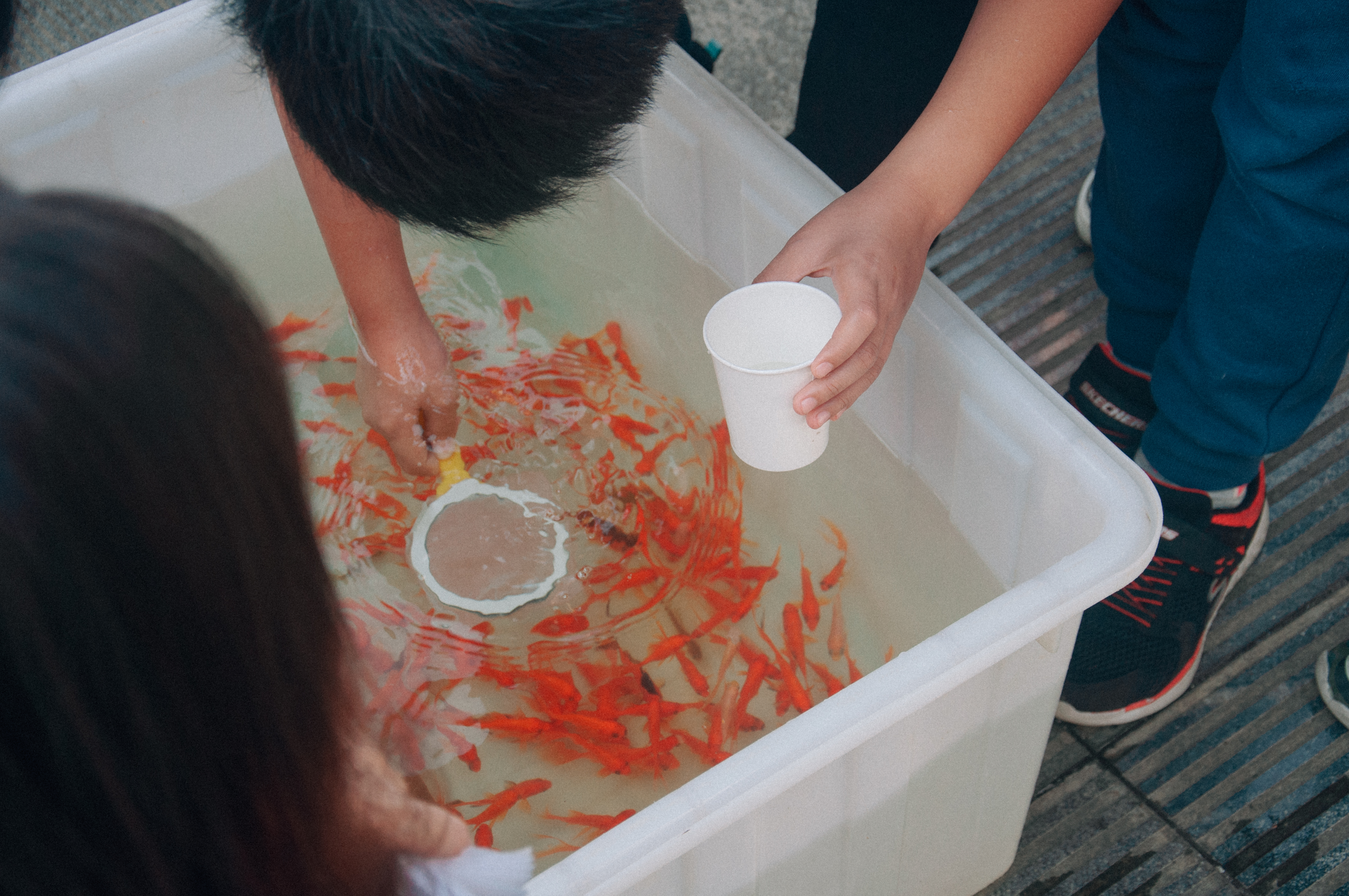 学生正在进行纸网捞鱼（王毓麟 摄）